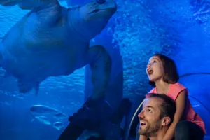 SEA LIFE