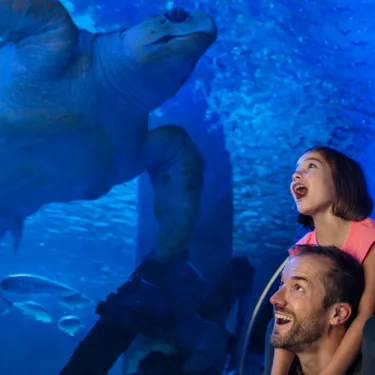 SEA LIFE