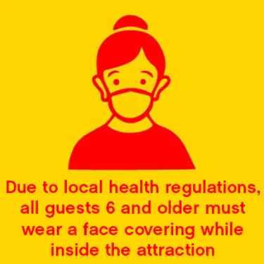 Face Mask Website