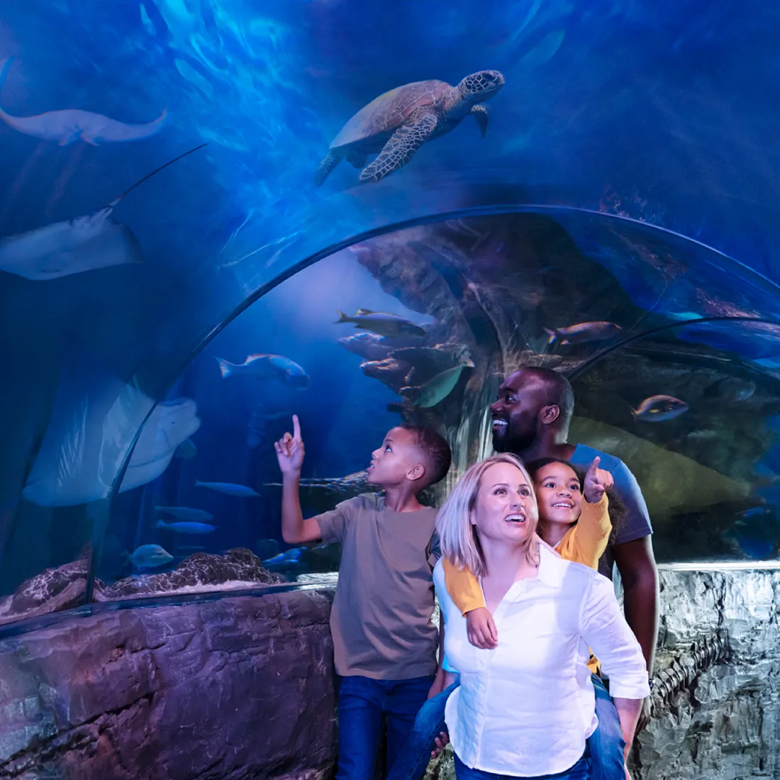 Plan Your Visit | LEGOLAND Discovery Center Phoenix Arizona