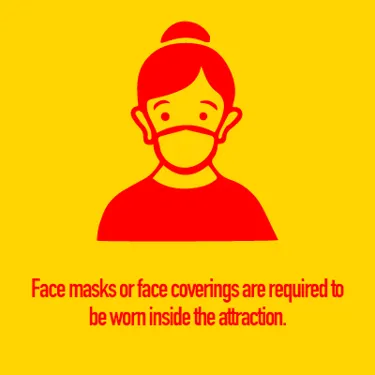 Face Mask Required 400 X 400