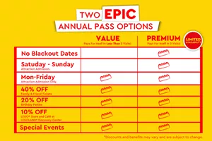 Annual Passes at LEGOLAND Discovery Center