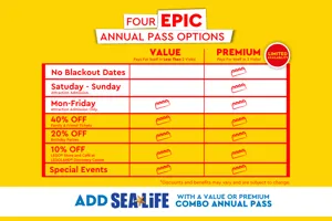 Annual Passes at LEGOLAND Discovery Center