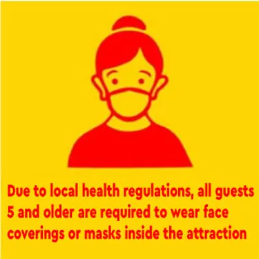 Face Mask Requirement | LEGOLAND Discover Center