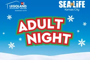 Adult Night December (1400 X 1000 Px)