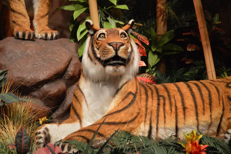 Rainforest Cafe Auburn Hills Tips for Visiting