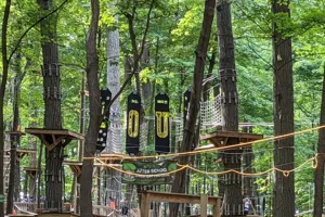 Treerunner Adventure Park - Rochester, Michigan