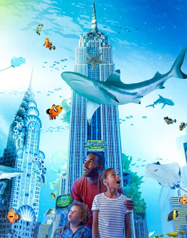 legoland discovery center