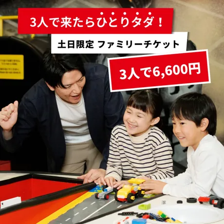 土日限定 ファミリーチケット
