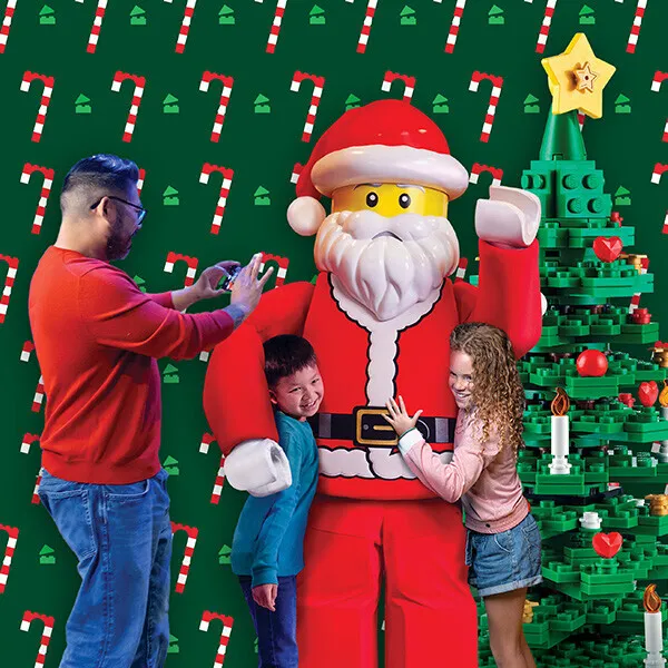 LDC CRM 600X600 Square SANTA