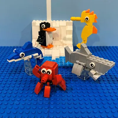 Weekly Challenge Aquarium