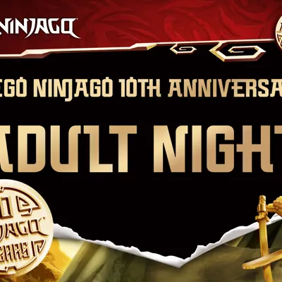 Adult Night Ninjago
