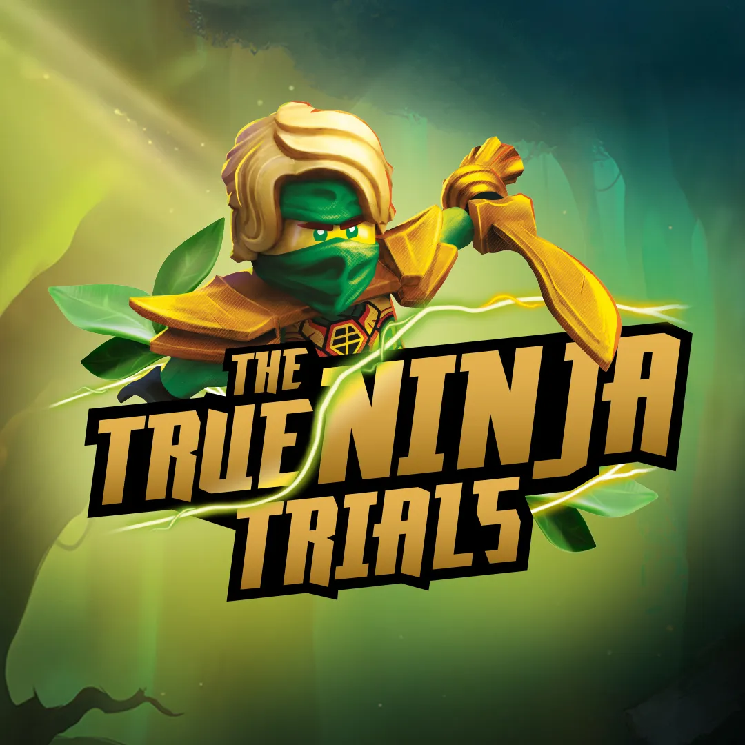 25010 LDC Ninjago TTNT Theming Website Blocks Box 1