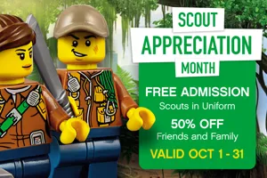 Scout Web Photo