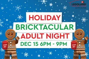 Holiday Adult Night